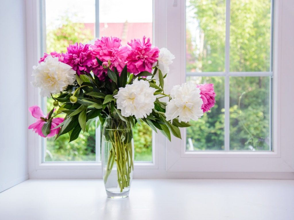 Hoe snijbloemen langer meegaan